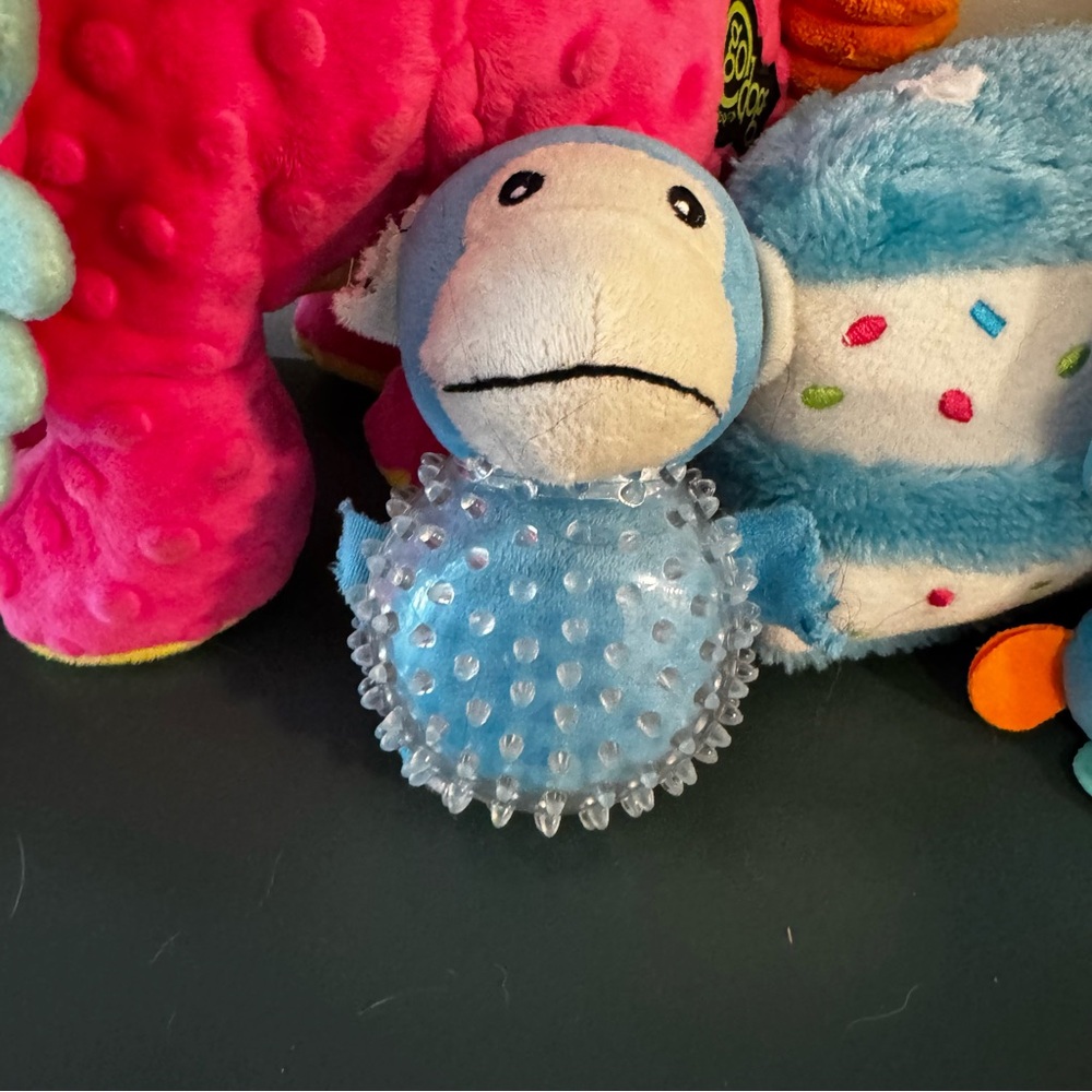 Vibrant Dog Toy Collection - Picture 7 of 9